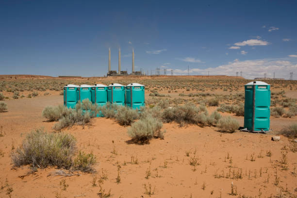 Best Utility Line Clearance  in Russiaville, IN